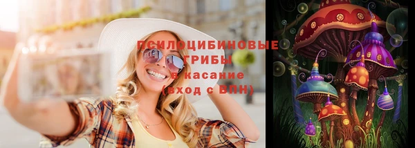 бошки Гусь-Хрустальный