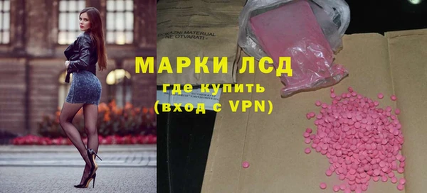 ПСИЛОЦИБИНОВЫЕ ГРИБЫ Гусев