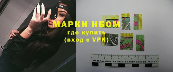 ПСИЛОЦИБИНОВЫЕ ГРИБЫ Гусев