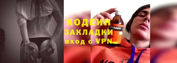 ПСИЛОЦИБИНОВЫЕ ГРИБЫ Гусев