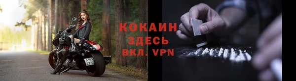 бошки Гусь-Хрустальный