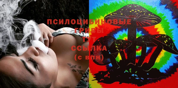 бошки Гусь-Хрустальный