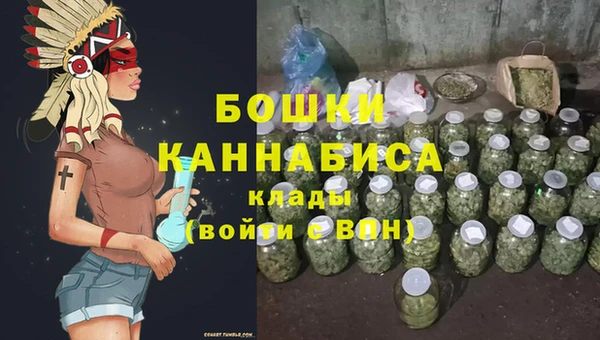 ПСИЛОЦИБИНОВЫЕ ГРИБЫ Гусев