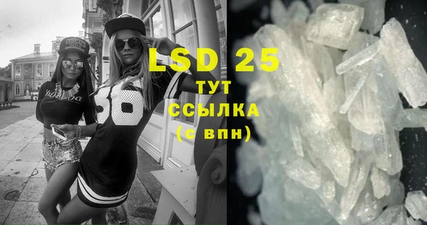 ПСИЛОЦИБИНОВЫЕ ГРИБЫ Гусев