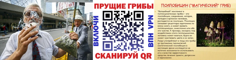 где продают   блэк спрут tor  Галлюциногенные грибы Psilocybine cubensis  Далматово 